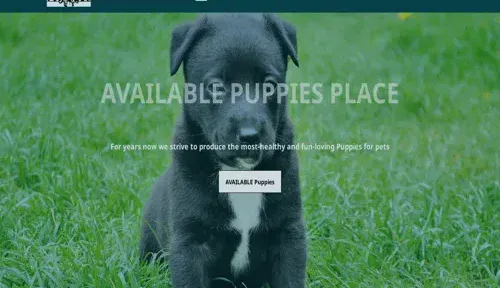 A screenshot of Genlanfamilystbernard.com