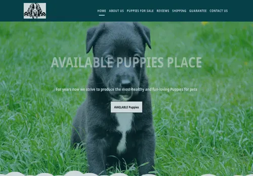 is availablepuppiesplace.com legit? screenshot