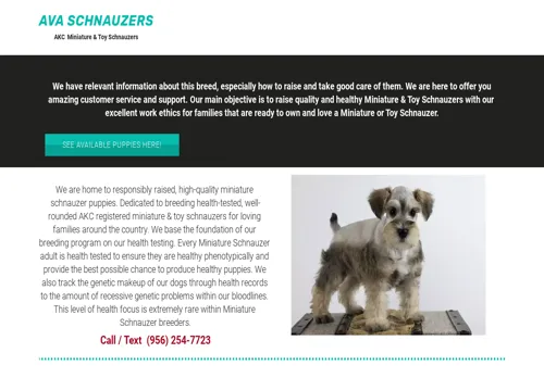 is avaschnauzers.online legit? screenshot
