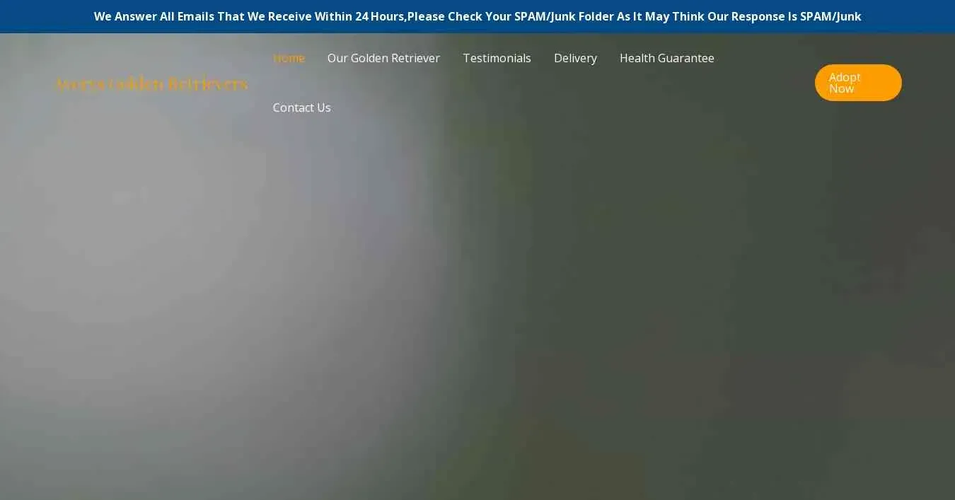 is averysgoldenretrievers.com legit? screenshot