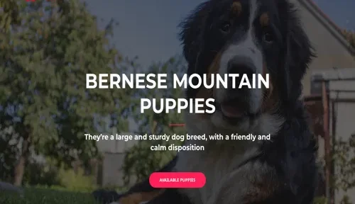 A screenshot of Genlanfamilystbernard.com