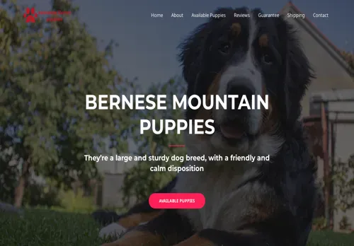 is awesomebernesemountainpuppies.com legit? screenshot