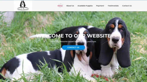 A screenshot of Babiesbassethound.com