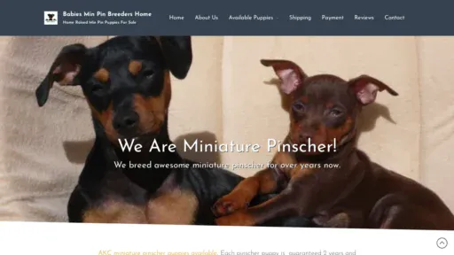 A screenshot of Babiesminiaturepinscher.com