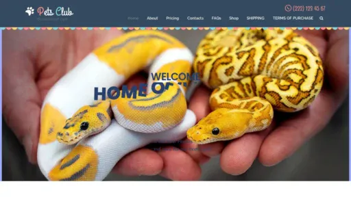 A screenshot of Ballpythonspetshop.com