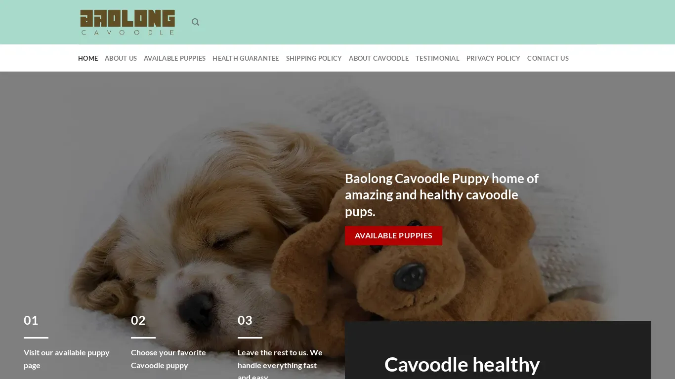 is Baolong Cavoodle – cavoodle puppies for adoption online legit? screenshot