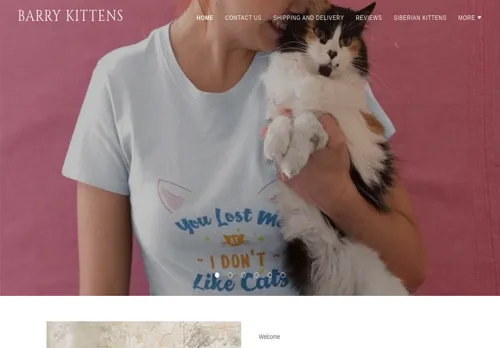 is barrykittenshome.com legit? screenshot