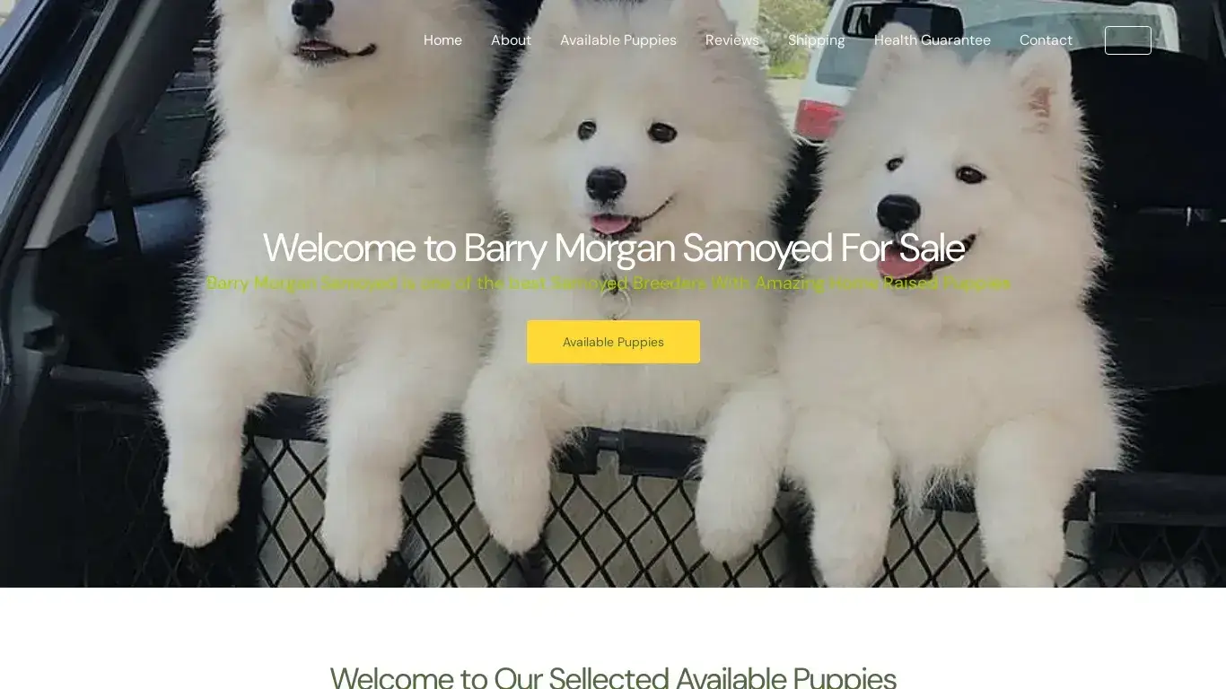is Barry Morgan Samoyed – Cute Samoyed Puppies For Sale legit? screenshot