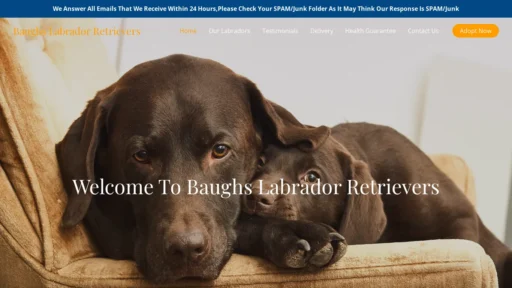 A screenshot of Baughslabradorretrievers.com
