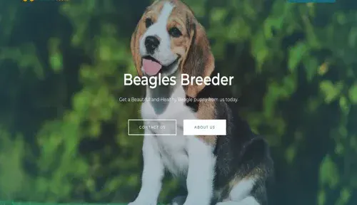 A screenshot of Genlanfamilystbernard.com