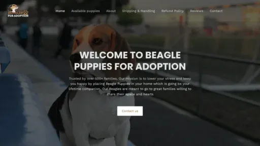 A screenshot of Beaglesforadoption.com