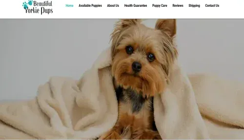A screenshot of Genlanfamilystbernard.com