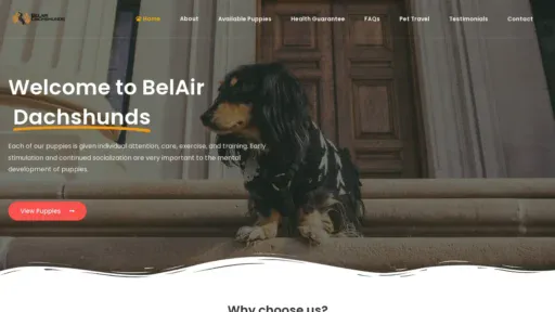 A screenshot of Belairdachshunds.com