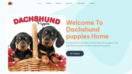 A screenshot of Belldachshunds.com