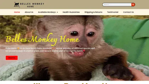 A screenshot of Bellesmonkeyhome.com