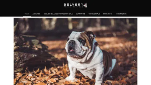 A screenshot of Belveryplace.com
