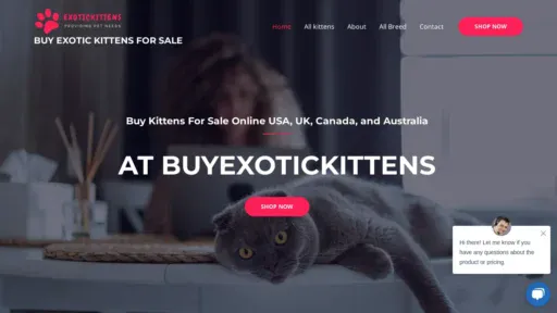 A screenshot of Bengalkittensforsale.net