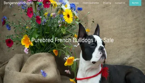 A screenshot of Genlanfamilystbernard.com