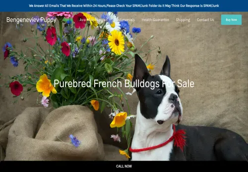 is bengenevievpuppy.com legit? screenshot