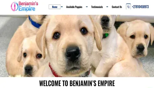 A screenshot of Genlanfamilystbernard.com