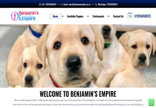 is benjaminempire.co.za legit? screenshot