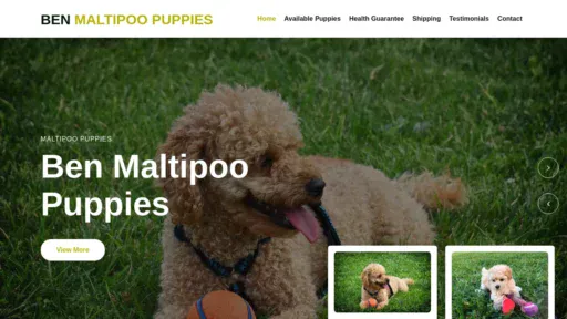 A screenshot of Benmaltipoopuppies.com