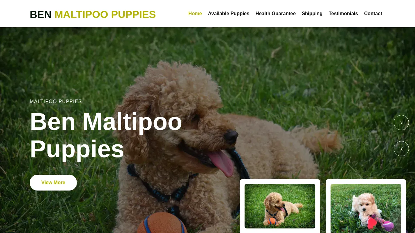 is Welcome To Ben Maltipoo Puppies - Super Cute Family Raised Maltipoo Puppies For The Breed Lovers. Get In Touch Now. Shipping Available. legit? screenshot