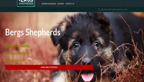 A screenshot of Genlanfamilystbernard.com