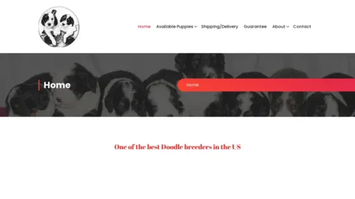 A screenshot of Bernedoodlesandaussiedoodles.com