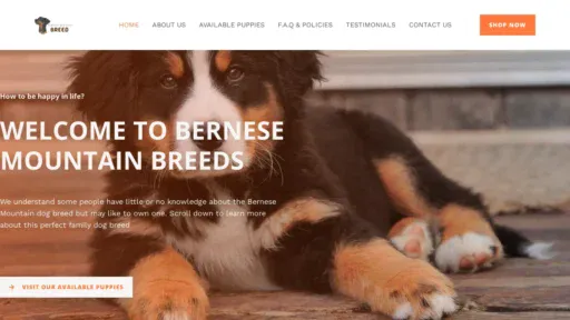 A screenshot of Bernesemountainbreeds.com