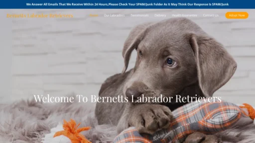 A screenshot of Bernettslabradorretrievers.com