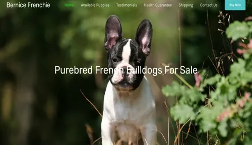 A screenshot of Genlanfamilystbernard.com