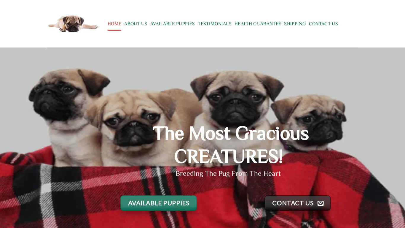 is bertseypugpuppieshome.com legit? screenshot