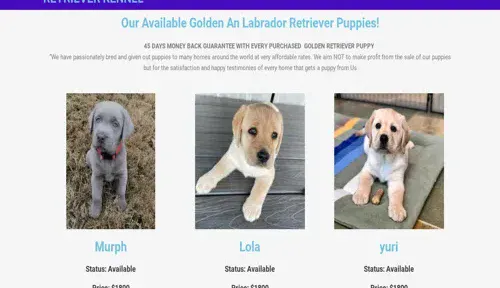 A screenshot of Genlanfamilystbernard.com