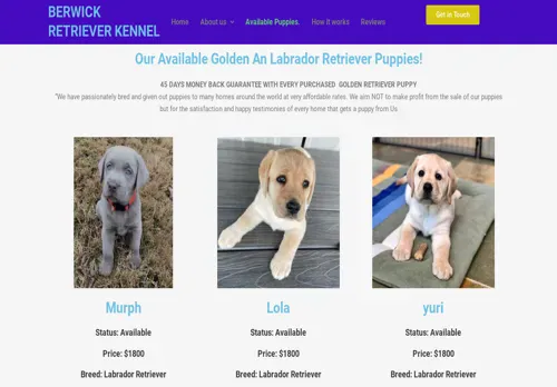 is berwickretrieverkennel.com legit? screenshot