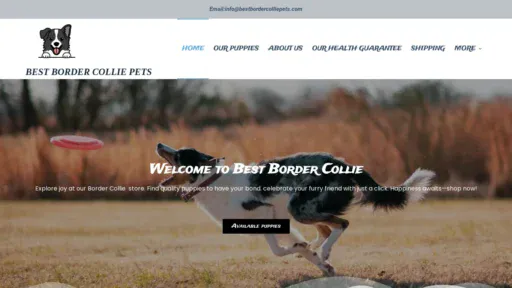 A screenshot of Bestbordercolliepets.com