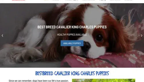 A screenshot of Genlanfamilystbernard.com