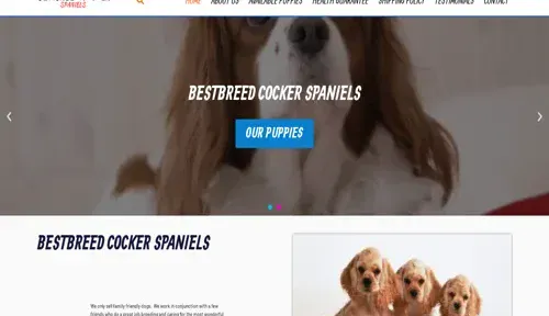 A screenshot of Genlanfamilystbernard.com