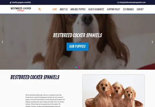 is bestbreedcockerspaniels.com legit? screenshot