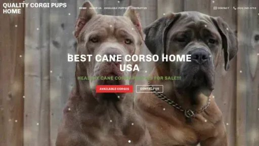 A screenshot of Bestcanecorso.com