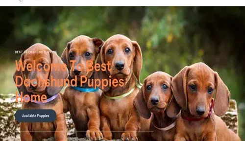 A screenshot of Genlanfamilystbernard.com