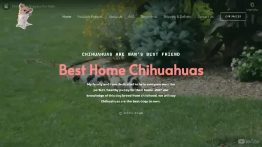 A screenshot of Besthomechihuahuas.com
