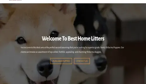 A screenshot of Genlanfamilystbernard.com