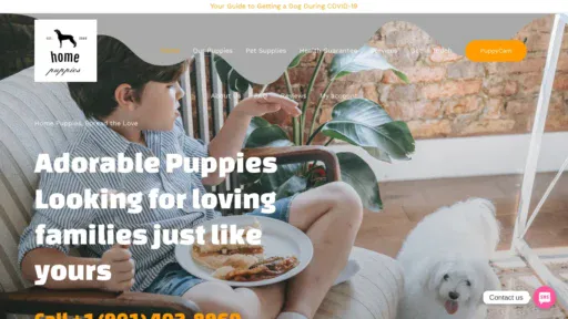 A screenshot of Besthomepup.com