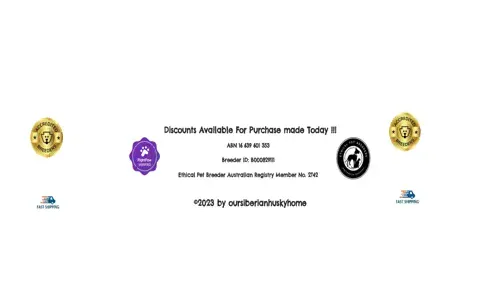 A screenshot of Genlanfamilystbernard.com