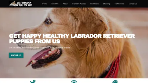 A screenshot of Bestlabradorretrieverpupsforsale.com