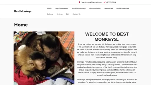 A screenshot of Bestmonkeys.com
