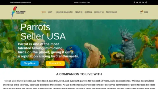 A screenshot of Bestparrotsbreeder.com