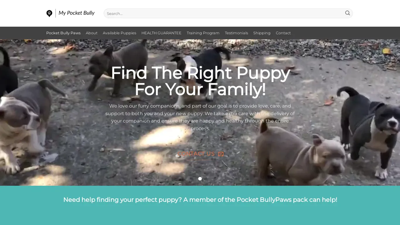 is bestpocketbullies.com legit? screenshot