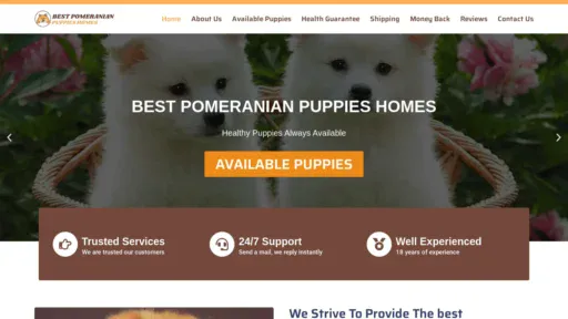 A screenshot of Bestpomeranianpuppieshomes.com